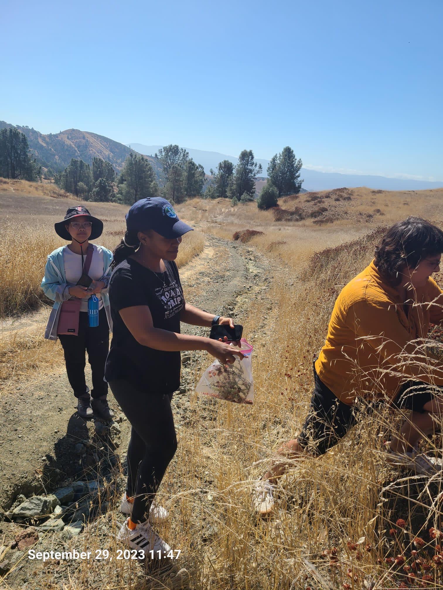 Conducting vegetation sampling and floristic inventory for ecological assessment in Dangermond Preserve, Lompoc California.